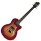 Hagstrom  Deluxe