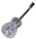 Johnson Guitar  Tricone