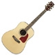 Ibanez AW Artwood AW 40