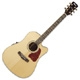 Ibanez Aw electric Artwood AW 40ECE