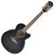 Ibanez AEL AEL2012E