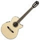 Ibanez AEG AEG10NE