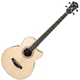 Ibanez AEB AEB10E