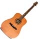 Alhambra Acoustic W1 E4