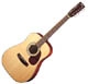 Cort Standard AD 870-12