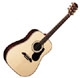 Alvarez Professional PD90S