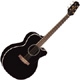 Takamine G series EG461SC