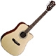 Achat Guild GAD 40CE