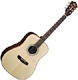 Guild GAD 50E