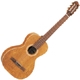 Achat Art & Lutherie Compacte 25501