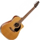 Achat Seagull Performer PECWGTII