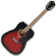 Ibanez Sage SGT120E