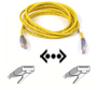 Belkin  C�ble Ethernet Crois� CAT5e UTP de Belkin - 2 m�tres