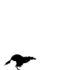 WolfSpirit
