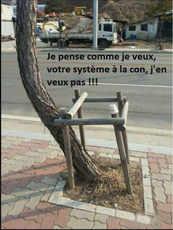Qui essayait bad pour la puissance
