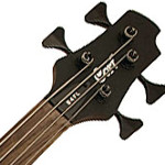 Basse fretless