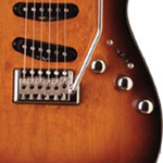 Washburn X33