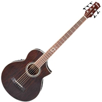 Basse acoustique & électro Ibanez EWB205WNE