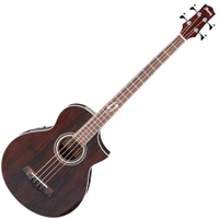 Basse acoustique & électro Ibanez EWB 20WNE