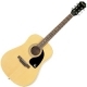Guitare folk Epiphone DR 100