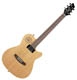 Guitare électrique Godin A series A 6 Ultra