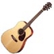 Guitare folk Cort Earth 100