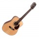 Guitare folk Cort Earth 70-12