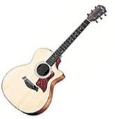 Taylor 100 series 114 CE