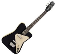 Danelectro Danopro