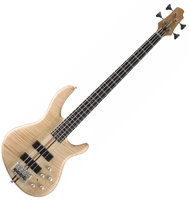 Basse fretless Cort Artisan Bass A4 FL
