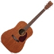 Guitare folk Martin & Co 15 serie D-15