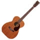 Guitare folk Martin & Co 15 serie 00-15