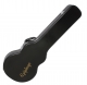  Epiphone Case LP Std & Cust