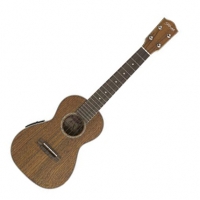 Stagg UC80SE