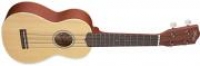 Guitare folk Stagg US60 S