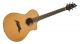 Guitare électro-acoustique Breedlove C25/CHR Pro