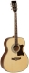 Guitare folk Tanglewood Premier Grand Auditorium 170AS