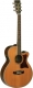Guitare électro-acoustique Tanglewood Sundance Folk 45NSB