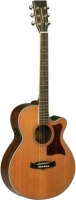Guitare électro-acoustique Tanglewood Sundance Folk 45NSB