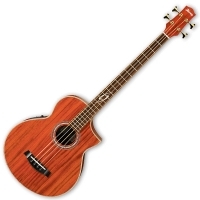 Basse acoustique & électro Ibanez EWB 30PDE
