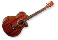 Guitare électro-acoustique Tanglewood Sundance  47B