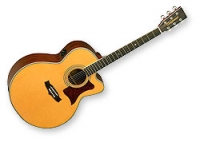 Guitare électro-acoustique Tanglewood Sundance 55NSB