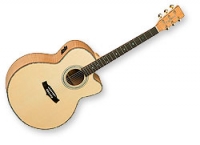 Guitare électro-acoustique Tanglewood Super Jumbo 66FMPB