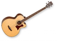 Basse acoustique & électro Tanglewood Premier 155A/BASS