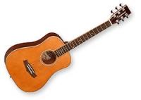 Guitare folk Tanglewood Evolution TBBABY