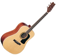 Washburn D10 S