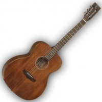 Guitare folk Tanglewood TW 130
