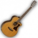 Guitare électro-acoustique Tanglewood TW 145SC