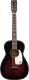 Guitare folk Gretsch Roots G9500 Jim Dandy