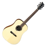 Guitare classique VGS Belle Rose BR-10